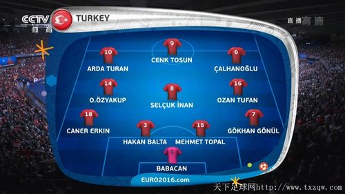 土耳其欧洲杯晋级过程规则（欧洲杯土耳其队怎么样）